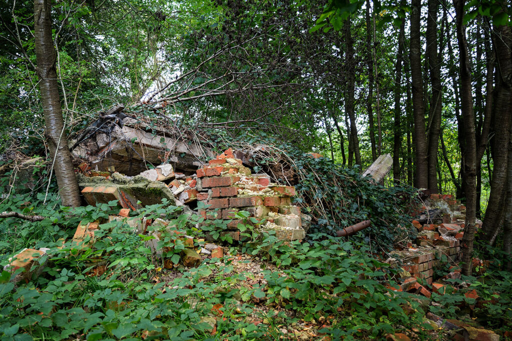 Ruine Maurinemühle – Foto: Maren Winter